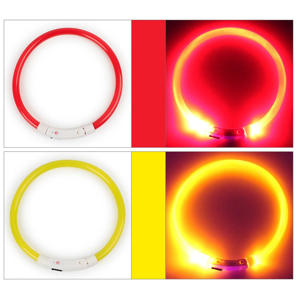 Coleira LED Recarregável para Cães – Coleira Luminescente com Luz Noturna USB | Segurança e Estilo para Pets (Tamanhos S/M/L)