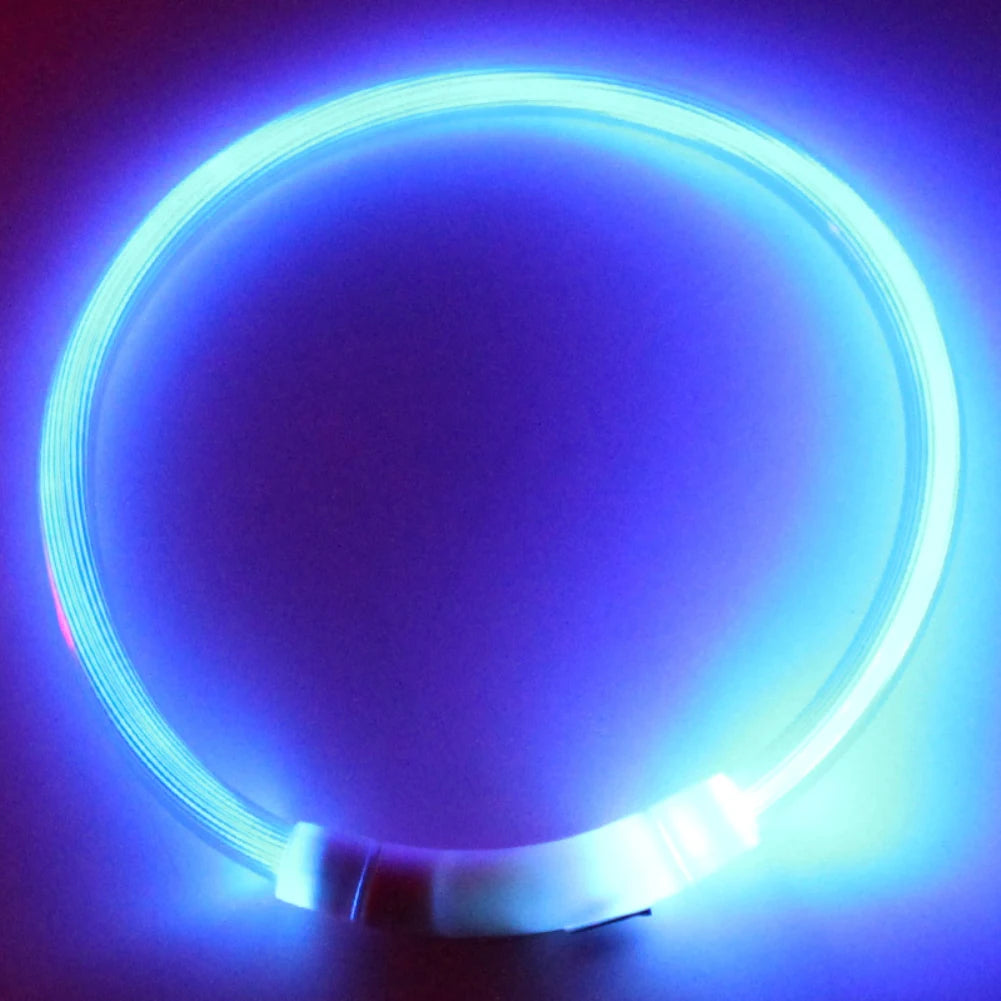 Coleira LED Recarregável para Cães – Coleira Luminescente com Luz Noturna USB | Segurança e Estilo para Pets (Tamanhos S/M/L)