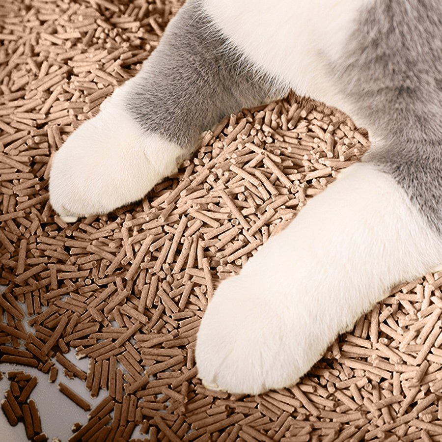 Areia Higiênica Vegetal para Gatos – Agrega em Segundos | Sem Poeira e Sem Mistura | Deodorized | Fácil de Armazenar