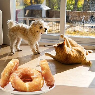 Petiscos Mastigáveis para Cães – Donuts e Bastões de Frango