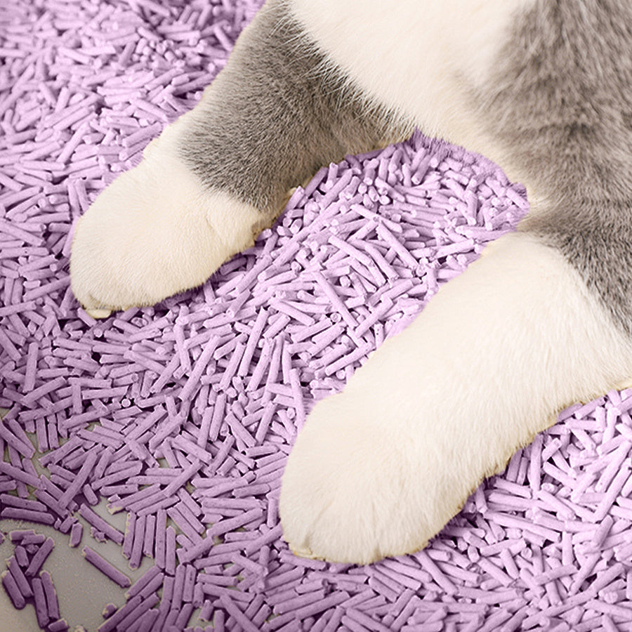 Areia Higiênica Vegetal para Gatos – Agrega em Segundos | Sem Poeira e Sem Mistura | Deodorized | Fácil de Armazenar