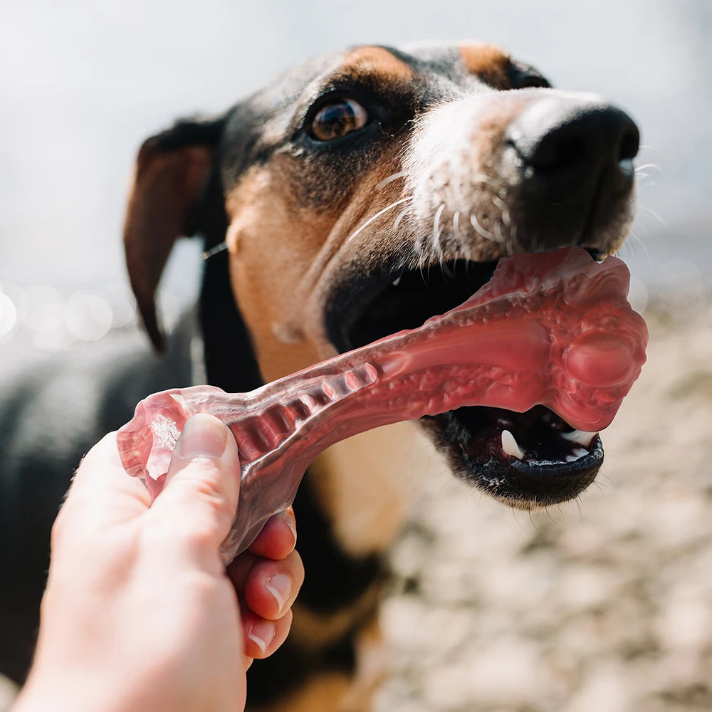 Dog Toy Indestrutível para Cães de Porte Grande – Mordedor Osso Nylon Super Resistente, Interativo e Limpeza Dental