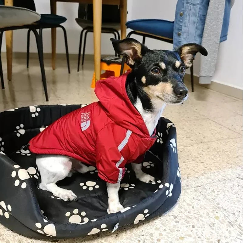Casaco Impermeável Refletivo para Cães Pequenos e Médios – Jaqueta de Fleece Quentinha | Capa de Chuva para Filhotes e Chihuahua