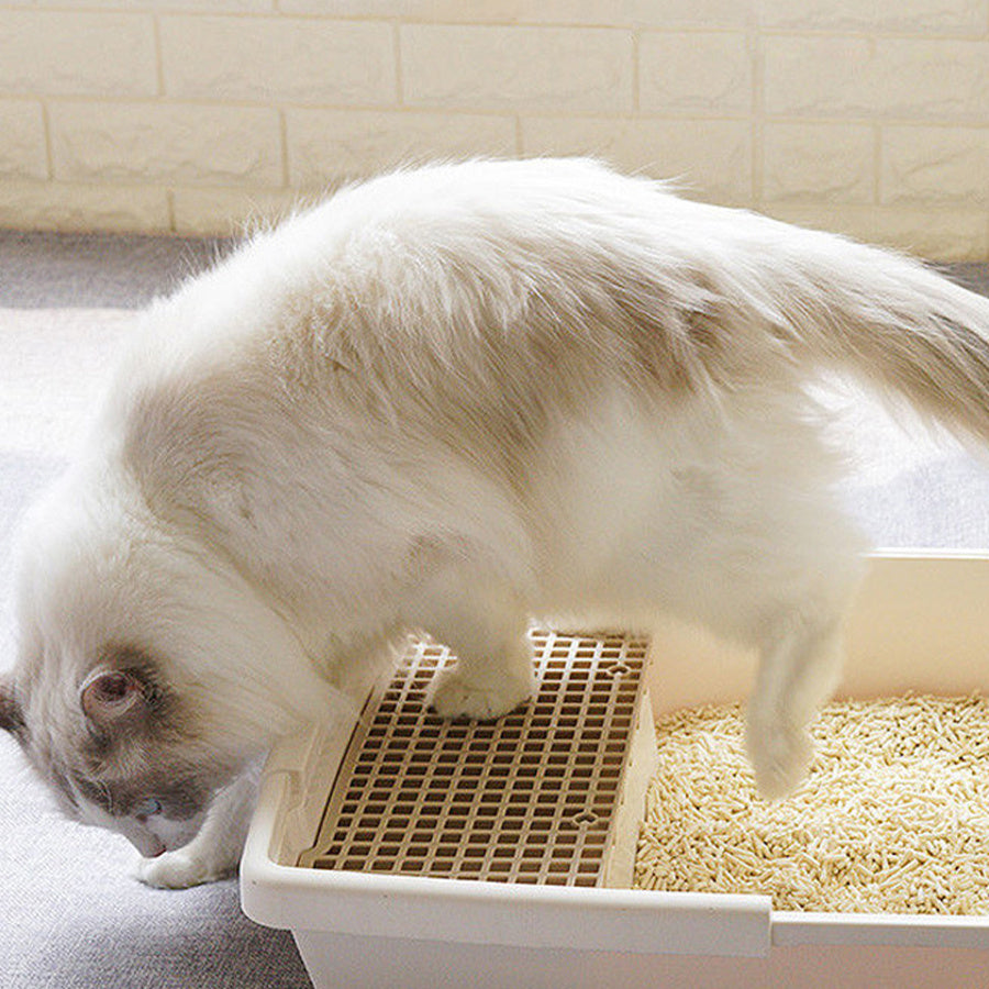 Areia Higiênica Vegetal para Gatos – Agrega em Segundos | Sem Poeira e Sem Mistura | Deodorized | Fácil de Armazenar