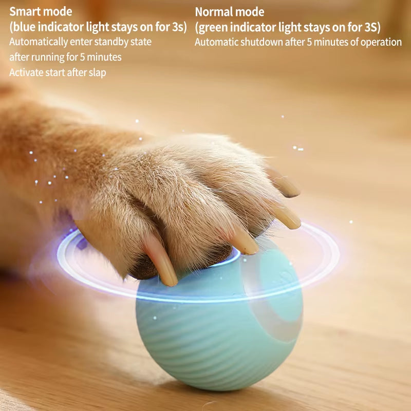 Brinquedo Inteligente para Cães – Bola Automática Elétrica que Se Move Sozinha | Brinquedo Interativo para Filhotes e Cães Pequenos