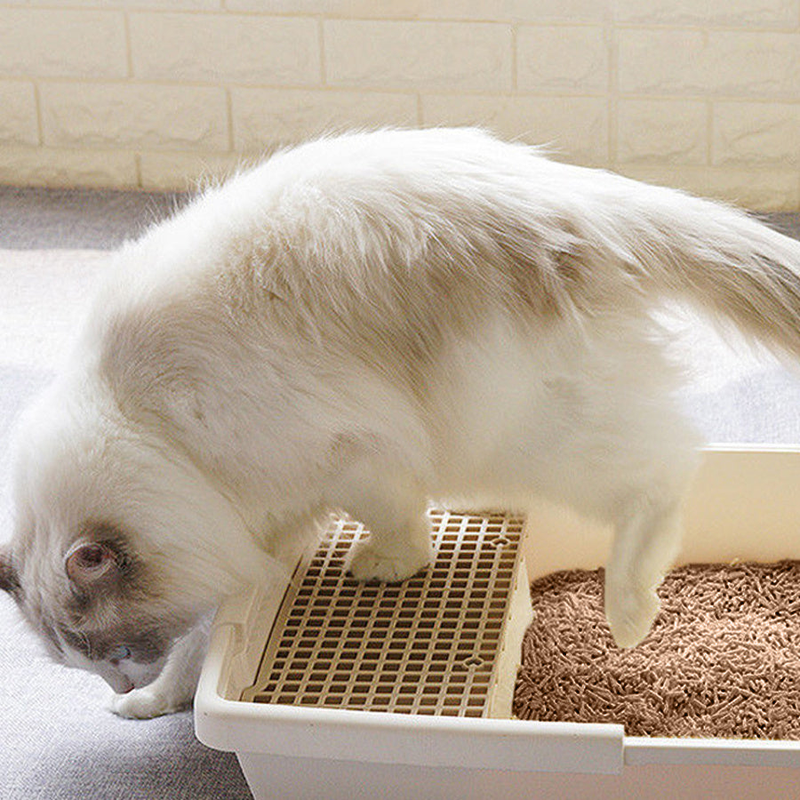 Areia Higiênica Vegetal para Gatos – Agrega em Segundos | Sem Poeira e Sem Mistura | Deodorized | Fácil de Armazenar