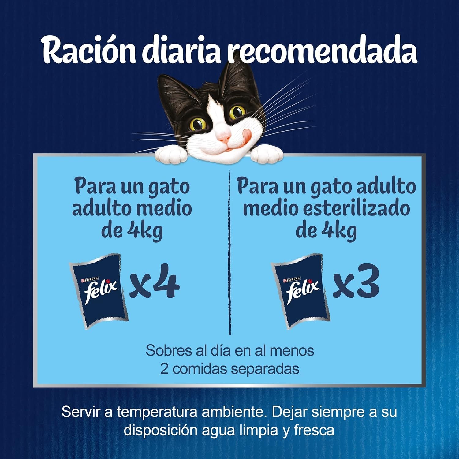 Felix Fantastic – Refeições Irresistíveis em Gelatina | Nutrição Completa e Balanceada