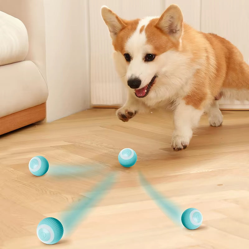 Brinquedo Inteligente para Cães – Bola Automática Elétrica que Se Move Sozinha | Brinquedo Interativo para Filhotes e Cães Pequenos