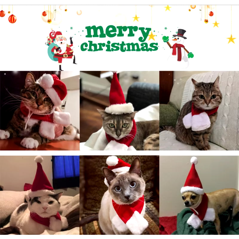 Fantasia de Natal para Pets – Chapéu de Papai Noel e Cachecol Vermelho Ajustável | Look Natalino Fofo para Cães e Gatos