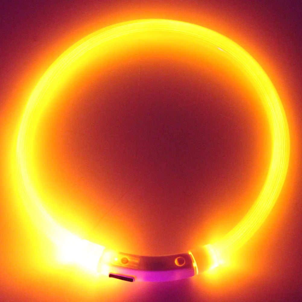 Coleira LED Recarregável para Cães – Coleira Luminescente com Luz Noturna USB | Segurança e Estilo para Pets (Tamanhos S/M/L)