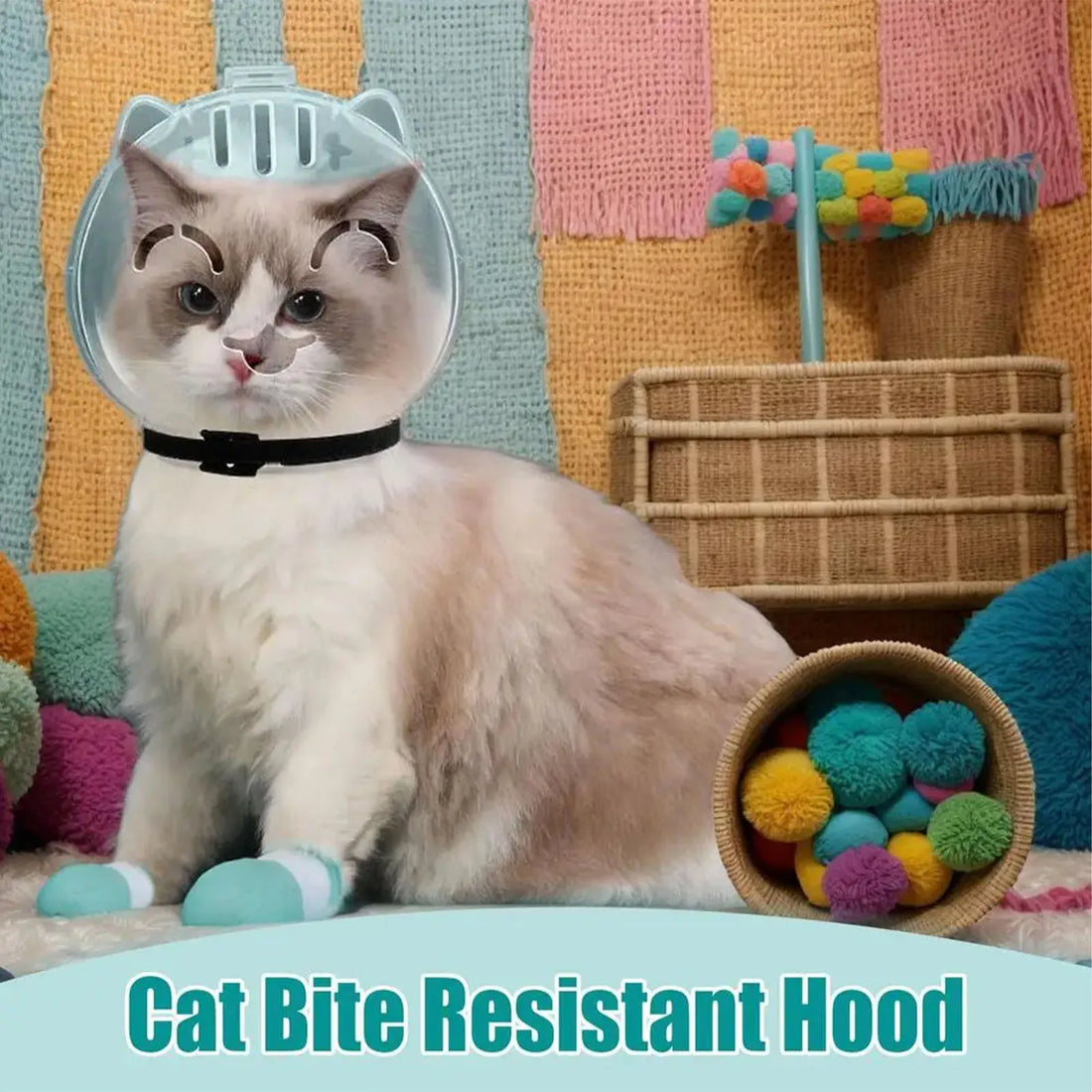 Kit Anti-Mordida e Anti-Lambedura para Gatos – Capacete Respirável com Botinhas de Silicone