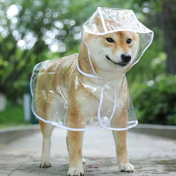 Capa de Chuva Transparente para Cachorros – Jaqueta Impermeável com Capuz para Filhotes e Cães Pequenos