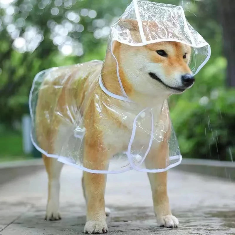 Capa de Chuva Transparente para Cachorros – Jaqueta Impermeável com Capuz para Filhotes e Cães Pequenos