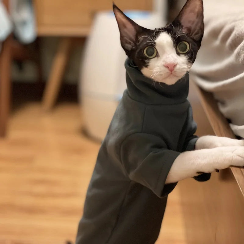 Roupa de Algodão para Gatos e Cães Pequenos – Inverno Outono, Confortável e Quentinha