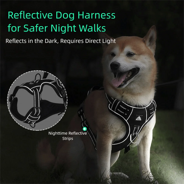 Peitoral Ajustável Refletivo para Cães – Arnês Confortável com Acolchoamento Macio | Seguro, Resistente e Ideal para Passeios
