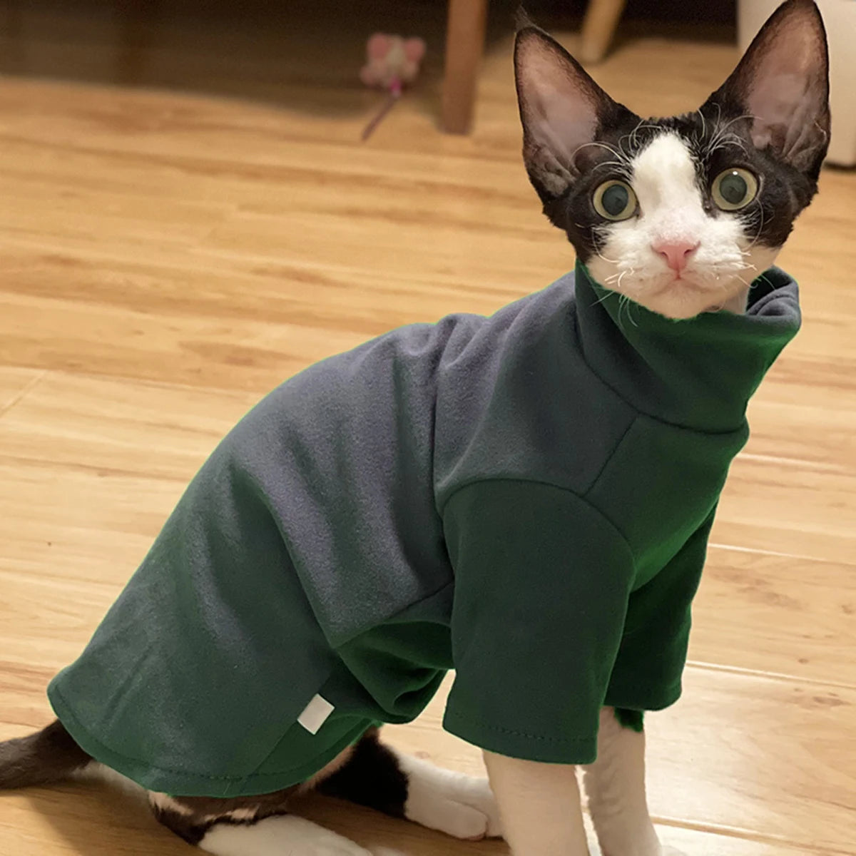 Roupa de Algodão para Gatos e Cães Pequenos – Inverno Outono, Confortável e Quentinha