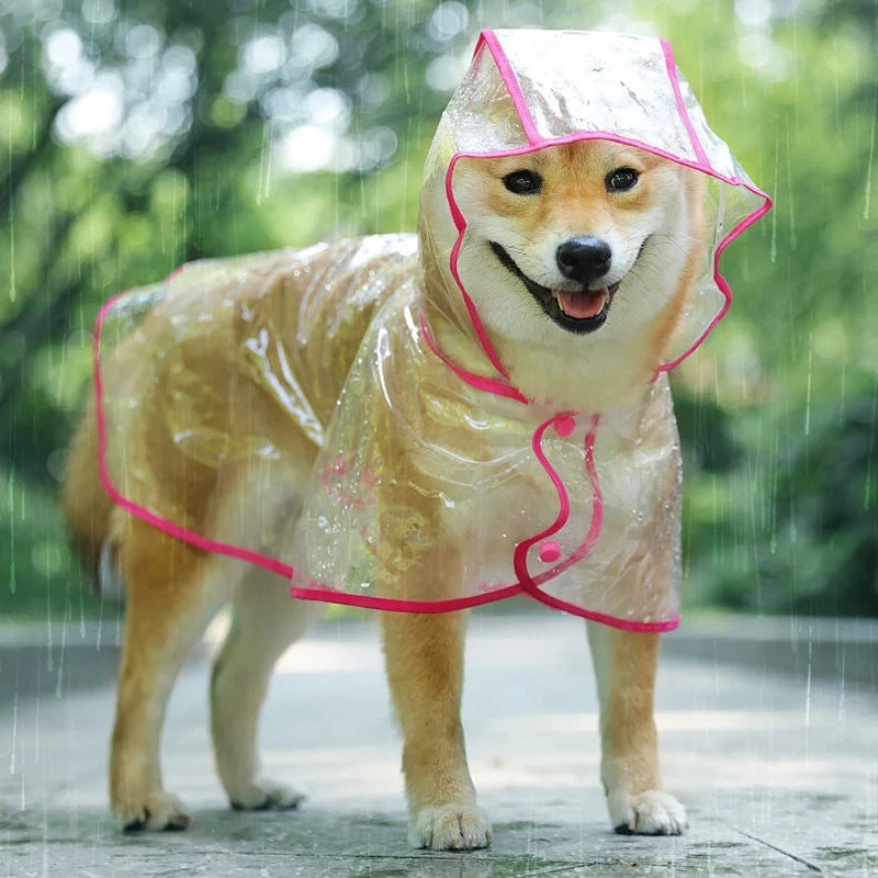 Capa de Chuva Transparente para Cachorros – Jaqueta Impermeável com Capuz para Filhotes e Cães Pequenos