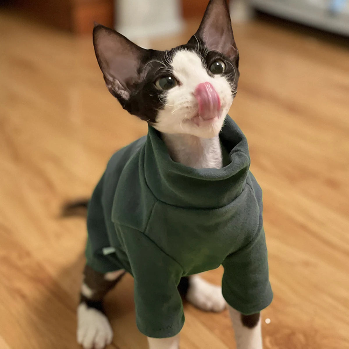Roupa de Algodão para Gatos e Cães Pequenos – Inverno Outono, Confortável e Quentinha