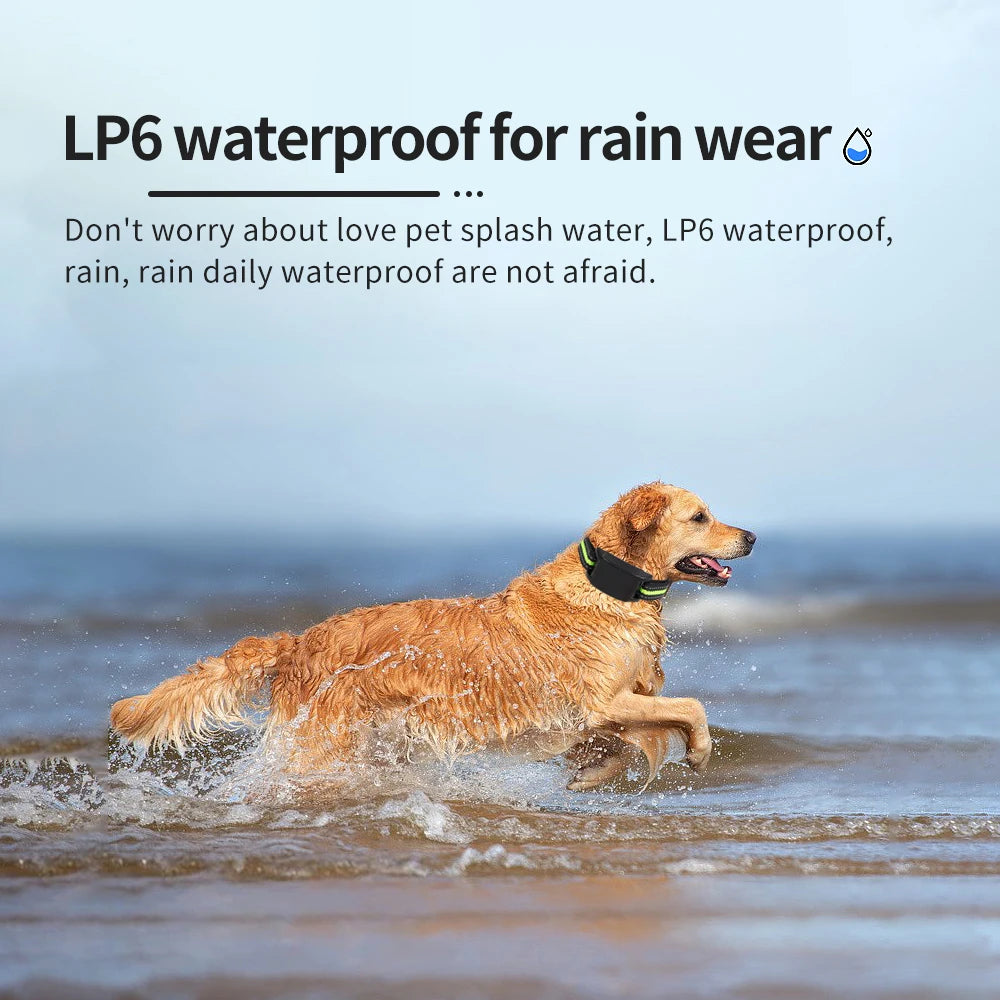 Coleira Antilatido Automática para Cães – Ultrassônica, Elétrica, Anti-Latido com Controle de Sensibilidade