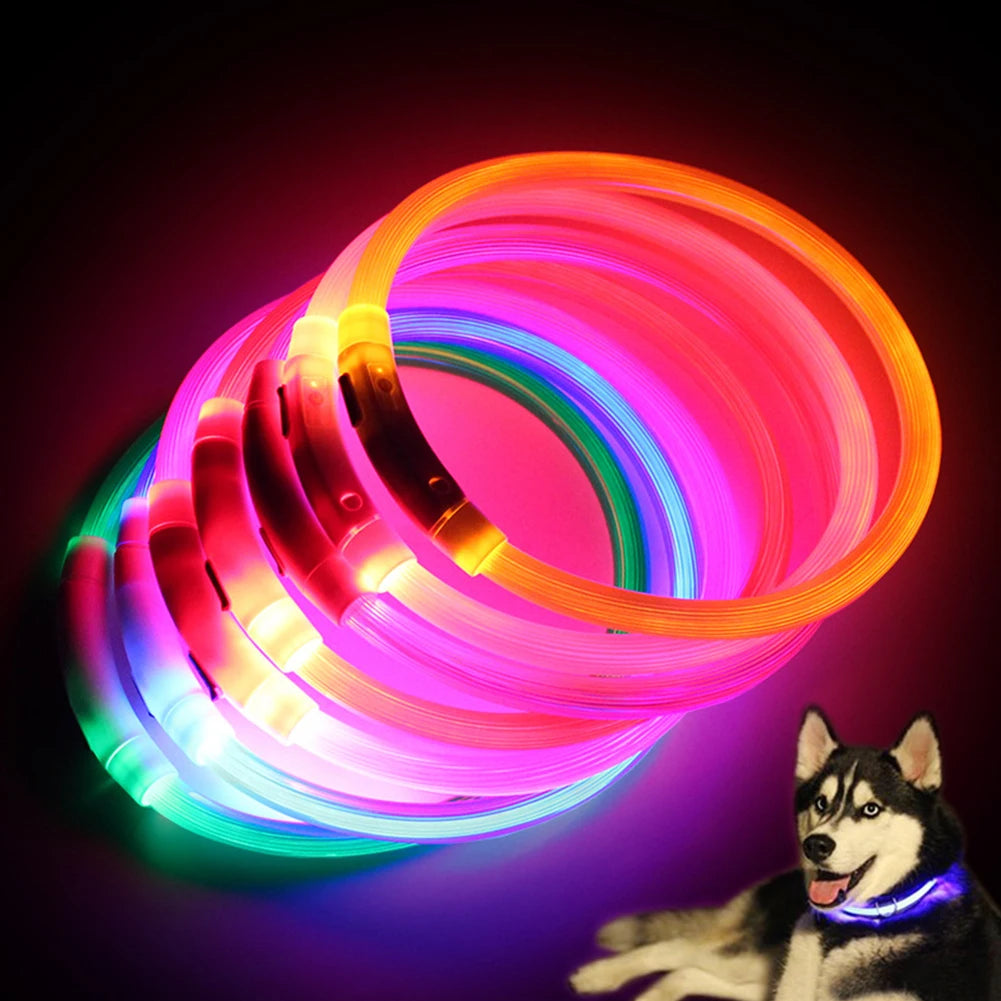 Coleira LED Recarregável para Cães – Coleira Luminescente com Luz Noturna USB | Segurança e Estilo para Pets (Tamanhos S/M/L)