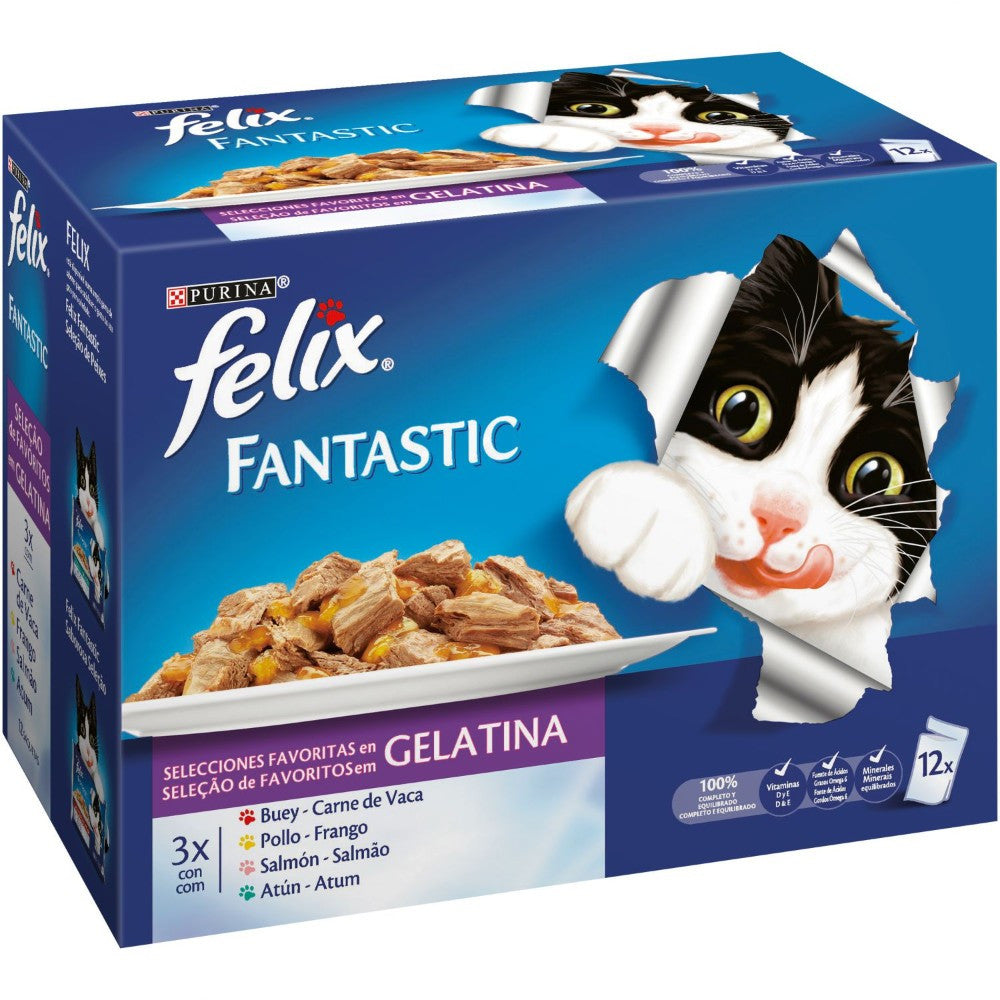 Felix Fantastic – Refeições Irresistíveis em Gelatina | Nutrição Completa e Balanceada