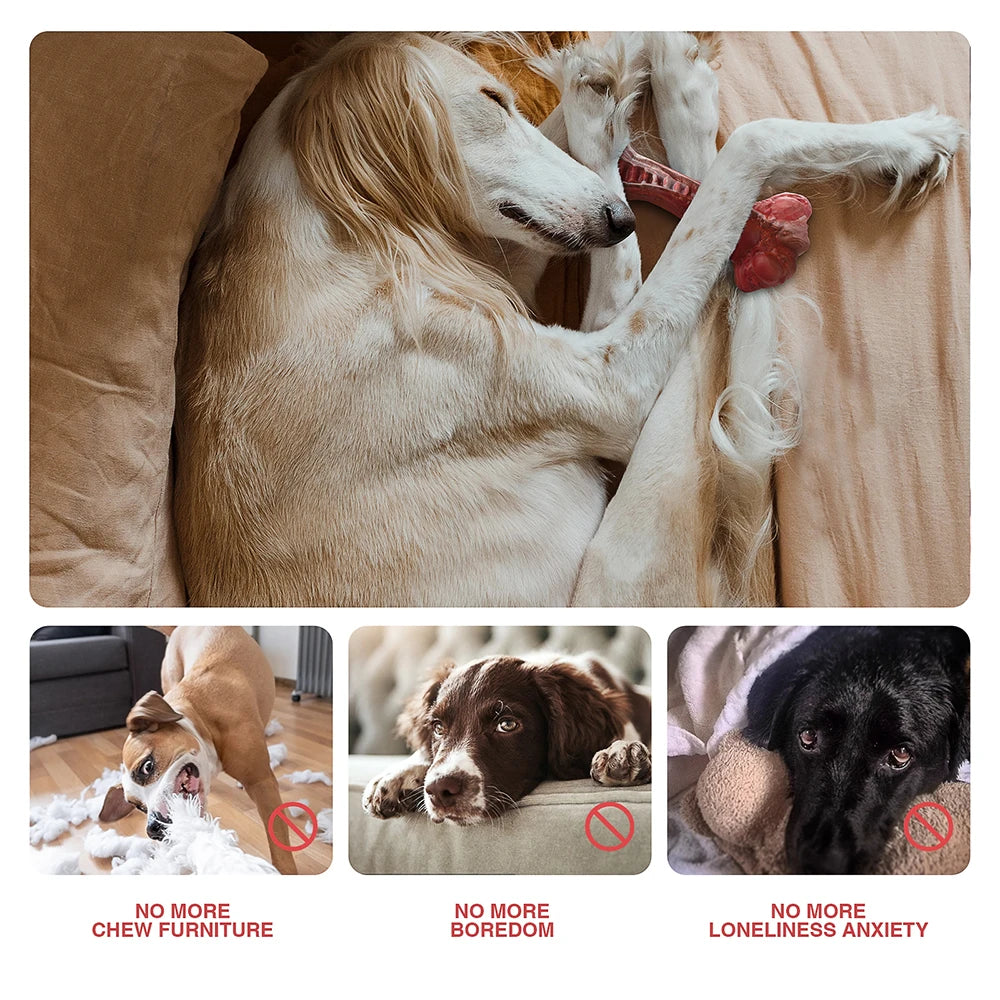 Dog Toy Indestrutível para Cães de Porte Grande – Mordedor Osso Nylon Super Resistente, Interativo e Limpeza Dental