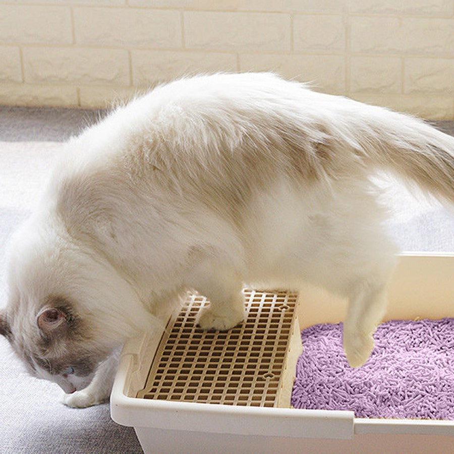 Areia Higiênica Vegetal para Gatos – Agrega em Segundos | Sem Poeira e Sem Mistura | Deodorized | Fácil de Armazenar